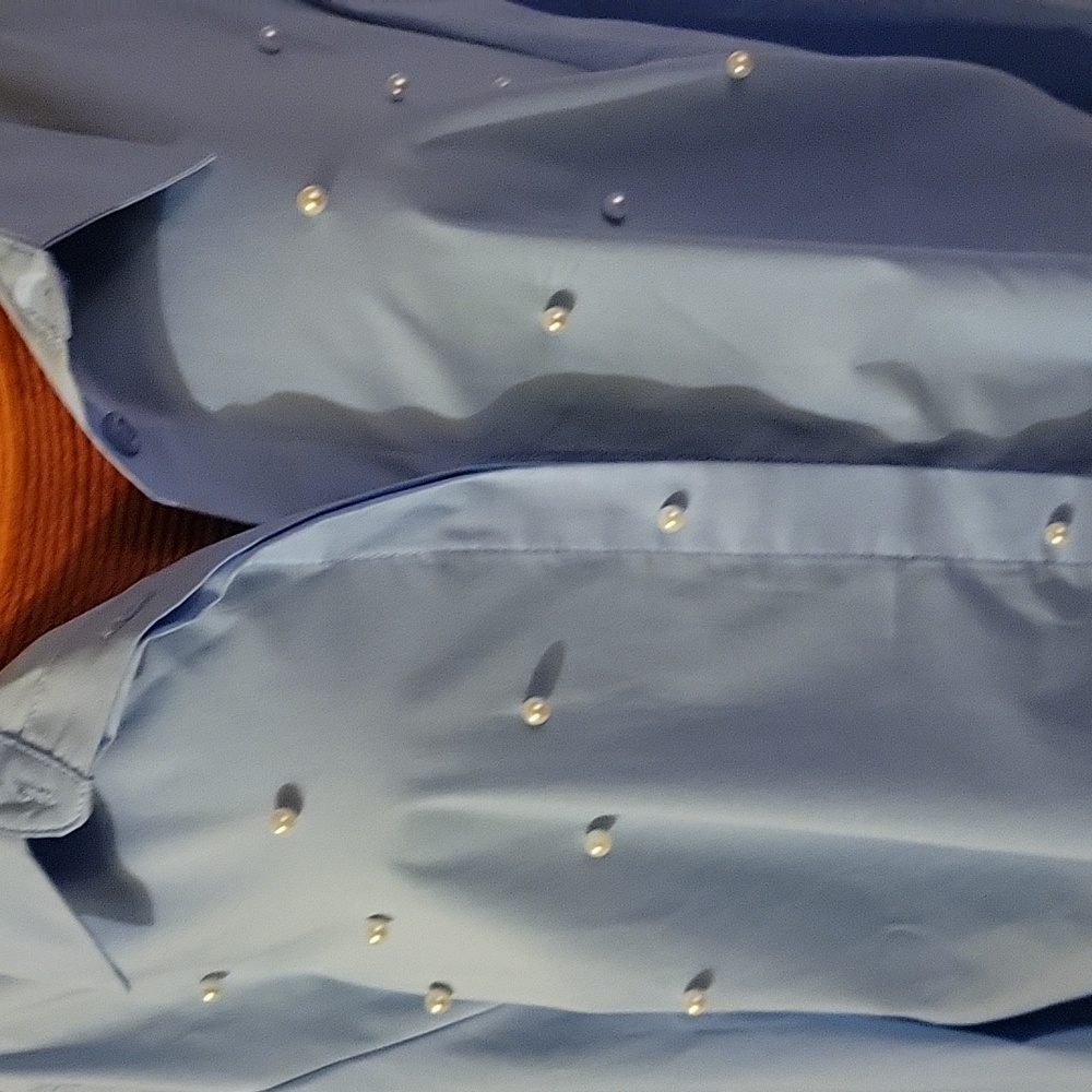 ZAC & RACHAEL Button down blouse with small pearl embellishments. Blue Size XL - Picture 2 of 4